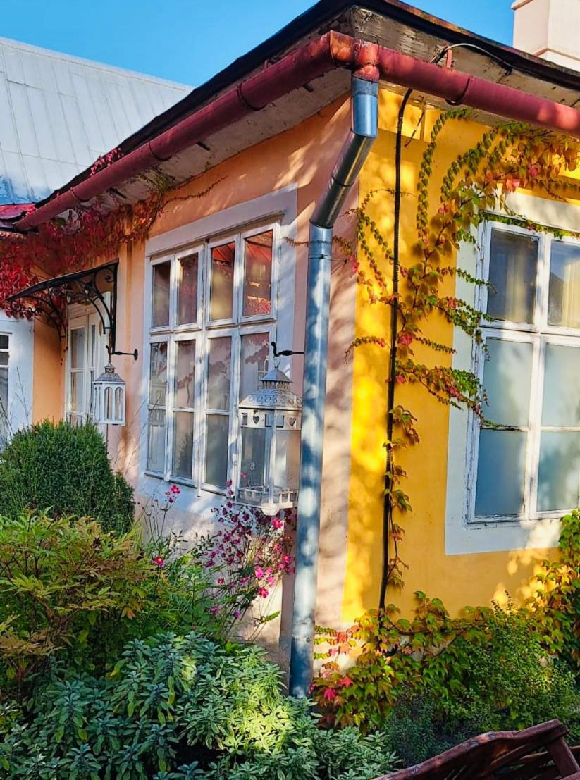 Vila Stiavnica Banská Štiavnica Εξωτερικό φωτογραφία